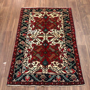 �C�����̎�D���O�~ �o���[�` �y�ʑq�Ɂz 171×99cm �����Ɖ� �g���C�o�����O