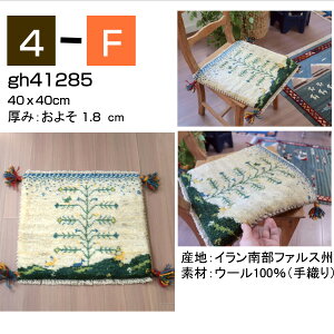 Mbx Mx zcTCY 40×40cm CA VRE[100 D胉O lC̍zcTCY