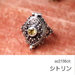 y10%OFFN[|ΏەizVo[PbgO AVXg A[h` Turkish Silver Jewelry J