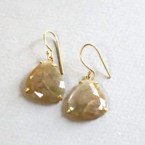 Tt@CA Vo[sAX@gCAO@tJbg gRWG[ F Vo[925(18kgf)