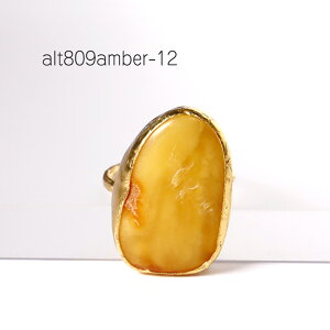 Ao[ O@ 22KGP ATCA gRWG[ 1_ i̔