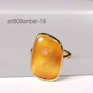 Ao[ O@ 22KGP ATCA gRWG[ 1_ i̔