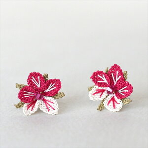 C[lEI@sAXiLb`^Cvj c[g[t[@`F[bhhJjō@ׂȃ[XEgRnhCh