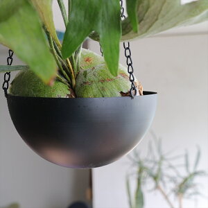 nMO@v^[/Jo[@ACA@LTCY@a25cm@ubN