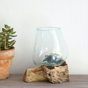  t[x[X ԕr yi͂zH16×W14×D14cm KXx[X glass planter/flower vase