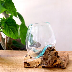  t[x[X ԕr H14×W16×D13cm KXx[X glass planter/flower vase yi͂z