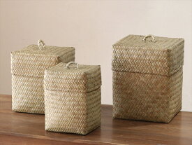 かごバスケット3点セット ふた付キューブ収納ボックス タイ製 ナチュラルカラー カチュー水草 Basket Asian straw basket 3set, Thailand