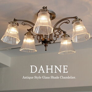 V[OVfA AeB[NKXVF[h uY _tl 5 LEDdΉ