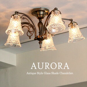 AeB[NKXVF[h V[OVfA uY AE 5 LEDdΉ