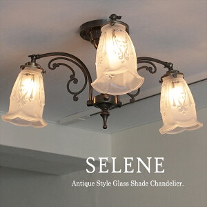 AeB[NKXVF[h V[OVfA uY Zl 3 LEDdΉ