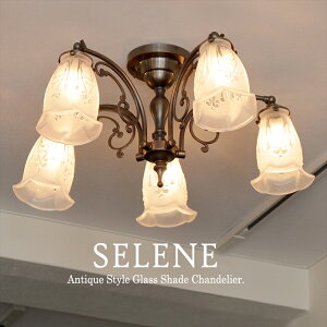 AeB[NKXVF[h V[OVfA uY Zl 5 LEDdΉ