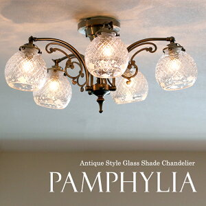 V[OVfA AeB[NKXVF[h uY ptBA 5 LEDdΉ