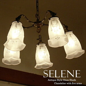 AeB[N KXVF[h VfA Zl 5 AeB[NuYF60Wx5/E17@LEDdΉ