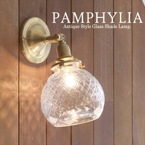 AeB[NKXVF[h EH[v PAMPHYLIAiptBAj/uX  ǖʒt E17/60W