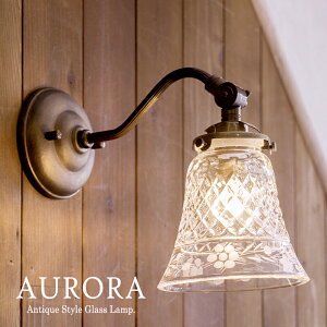 AeB[NEH[v KXVF[h AURORA(AEjvdH