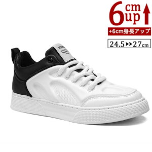 yԌ100~N[|z V[NbgV[Y Y  gAbv q[Abv 6cm gup w g[V[Y Xj[J[ rWlXV[Y PUvC rWlXC C w