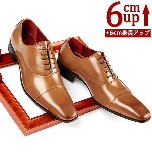 i {vV[NbgV[Y Y  gAbv6cm up6cm q[Abv gup w  rWlXV[Y Xj[J[ {vC V[NbgV[Y Y rWl