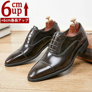 i {vV[NbgV[Y Y  gAbv6cm up6cm q[Abv gup w  rWlXV[Y Xj[J[ {vC V[NbgV[Y Y rWl