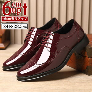 V[NbgV[Y Y  gAbv6cm up6cm q[Abv gup w  PUv rWlXV[Y Xj[J[ V[NbgV[Y Y rWlXC C ^C