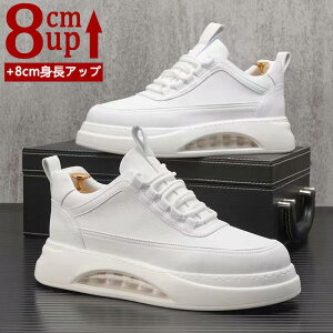 V[NbgV[Y Y  gAbv8cm up8cm q[Abv gup w  PUv C Xj[J[ V[NbgV[Y Y YXj[J[ rWlXC C ^