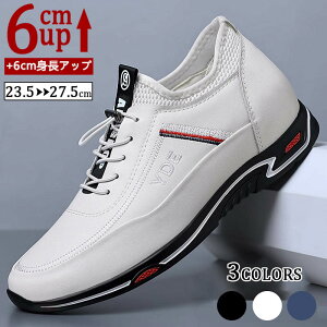 V[NbgV[Y Y  {v rWlXV[Y Xj[J[ gAbv6cm up6cm q[Abv gup w  C V[NbgV[Y Y rWlXC C ^