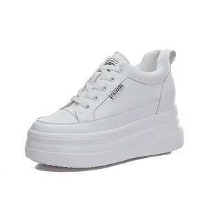 V[NbgV[Y fB[X 10cm gAbv C fB[X Xj[J[ C V[Y EH[LOV[Y _bhXj[J[ fB[XV[Y tďH~ ۉ ʋC w