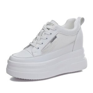 V[NbgV[Y fB[X 10cm gAbv C fB[X Xj[J[ C V[Y EH[LOV[Y _bhXj[J[ fB[XV[Y tďH~ ۉ ʋC w