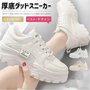 yԌ100~N[|z  Xj[J[ fB[X Xj[J[ C ꂢ   ₷ y 5Z` _bhXj[J[ אg  Cq[Xj[J[ tH~ ʊw 40 