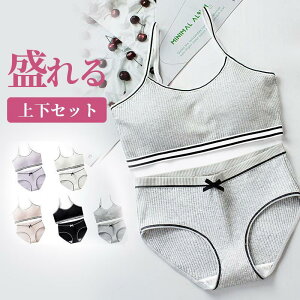 yԌ聚100~N[|z uW[ V[c q ㉺Zbg  iCgu X|[c Ci[ mC[ u  CXu X|[cu w 