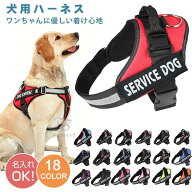 【名入れ可】 犬 名前入り ハーネス 胴輪 単品 名入れ 犬用ハーネス 小型犬 中型犬 大型犬 簡単装着 ハン…