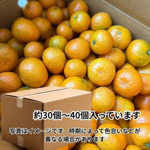 瑁݂ Lčb ̂܂܂ƒ ЂƖ[ƂɍL Â݂Ƒu₩ ԂłMbƋÏk Z킢 ςÂ {ґ Lc a̎R Yn 瑁 1000|b