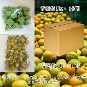 IB썂~ Ⓚ Yn ~ n~ i~ R8N61 n~ R8N610j~W|X ~ W   2kg 5kg 10kg ꔠ