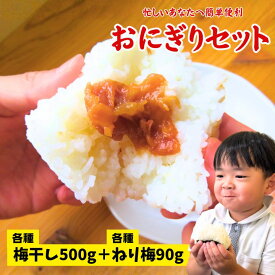 訳あり 紀州南高梅 各種梅干し500g 各種ねり梅90g 急いでいるあなたに オススメ おにぎりセット おにぎりの具 お得セット ごはんに合う はちみつ しそ かつお 白干し 梅干し 訳あり 塩分8% 白干し塩分20％ つぶれ梅 国産 和歌山県産 梅干し おかず お弁当 梅 送料無料