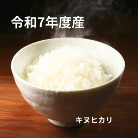 【令和7年産】和歌山県産 国産白米 甘みともっちり食感の美味しいお米 きぬひかり精米 農家直送 産地直送 お取り寄せ 美味しいお米 ご飯 ごはん ブランド米 米通販 米ギフト お米送料無料 毎日食べたいお米 1000円ポッキリ