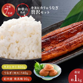 うなぎ 国産 和歌山お取り寄せセット うなぎ/お米/梅干し/ミネラルウォーター unagi 蒲焼 和歌山 きぬひかり キヌヒカリ 梅干し はちみつ 訳あり 南高梅 鉱泉水 家庭用 贈答用 送料無料
