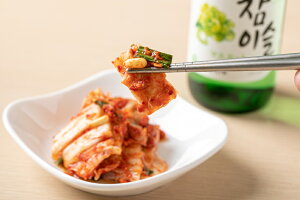 RyL`i340gjYEgpȂƂŎRɓ_y𑣂AnyރL`łByL` ؍ Е { {i L` L``Q PW h 