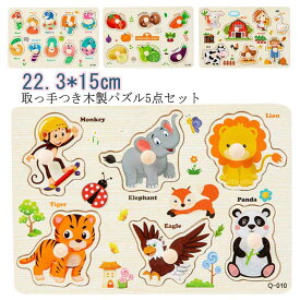 知育玩具 子供 5点セット 木のパズル 知育パズル 木製パズル ベビー 取っ手付き ペグパズル 立体パズル 木製玩具 木のおもちゃ