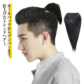 ポイントウィッグ ハーフアップ メンズウィッグ ハーフアップ お洒落 男性 自然 マンバン ロング かつら おしゃれ カツラ 人毛 ゆるふわ オールバック 紳士 原宿