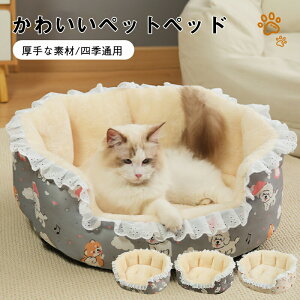 _TISiP5+5%OFF^ybgxbh ۂ ~  ~`  L nEX ~ ybgxbh ӂӂ ybgnEX NbV ybg\t@ ^ ^ NbV `ɂ L