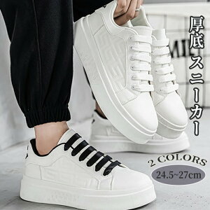  Xj[J[ Y JWAV[Y [Jbg  t  JWA w Xg[gR[f ʋC ꂢ gAbv C אg Xj[J[Y ₷ uh ؍ 