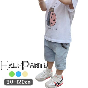 `m n[tpc Rbg Xgb`f AEghA Y{ Zp  Lk LbY xr[ {[CY j̎q ؍q 80cm 90cm 100cm 110cm 120cm
