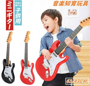 yr[Tzqp M^[ M^[ q ~j EN  M^[ S q M^[  mߋ yߋ q̓ a v[g Mtg 낢 VN EN 