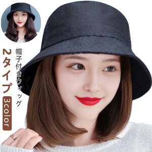  J[  ×p EBbOt  Xg[g