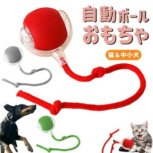 USB�[ ���� �{�[�� �E�C���X �{�[�� ����� ���� �d���{�[�� �`���[�C �ߋ� �������� ���[�����O ���� ����{�[�� �y�b�g�p �d��