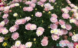 }[Kbg@XEB[gsN@9cm|bgc