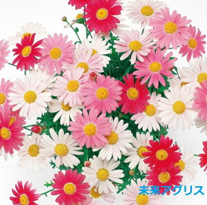 }[Kbg Xgx[zCbv@9cm|bgc