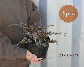 楽天市場 ベランダ 目隠し 植木 ガーデニング 農業 花 ガーデン Diyの通販