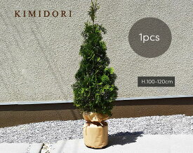 楽天市場 ベランダ 目隠し 植木 ガーデニング 農業 花 ガーデン Diyの通販