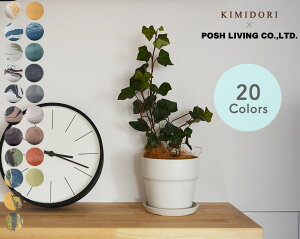 アイビー 鉢植えの人気商品 通販 価格比較 価格 Com アイビー 鉢植えの人気商品 通販 価格比較 価格 Com