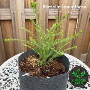 o[[A kMm[T c lCeBuvc  A A hCt[ A 񂹐A Β ؉ 